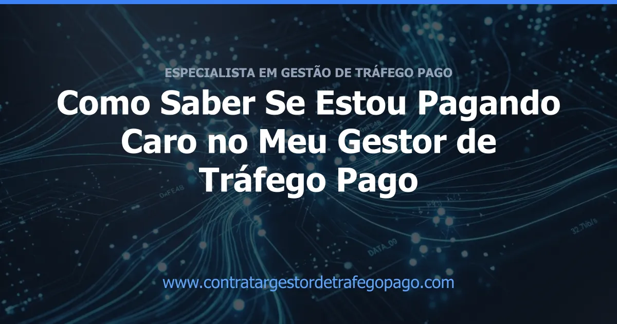 Como Saber Se Estou Pagando Caro no Meu Gestor de Tráfego Pago