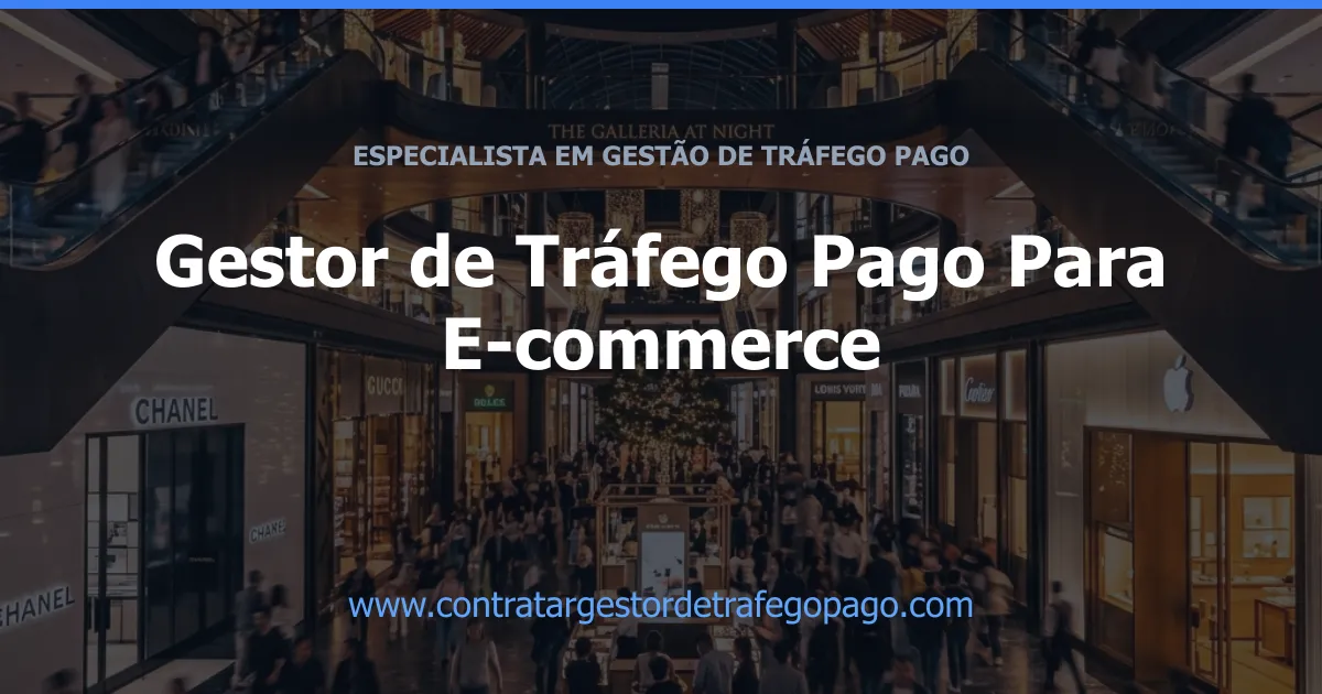 Gestor de Tráfego Pago Para E-commerce