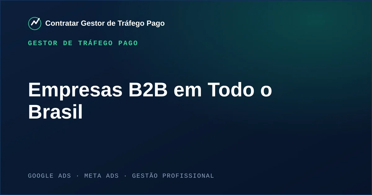Gestor de Tráfego Pago Para Empresas B2B em Todo o Brasil